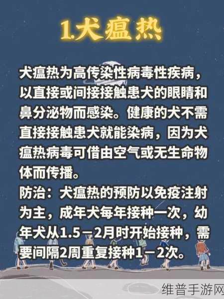 一人一狗卡六个小时游戏:当然可以!以下是一些基于“一人一狗卡六个小时”的新标题建议: