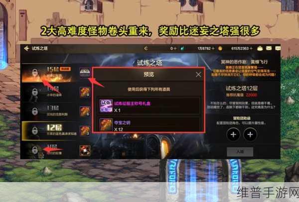 DNF手游迷妄之塔攻略，全面解析进入方法与规则