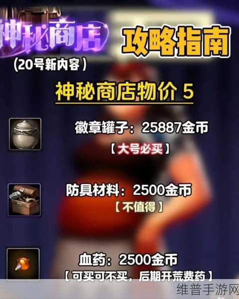 DNF手游攻略，揭秘高价材料的秘密