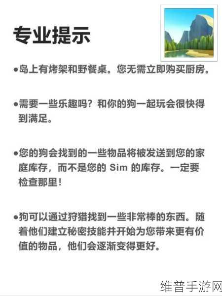 狼群一卡二卡3卡四卡网站：1. 狼群一卡二卡：探索无限可能的数字世界