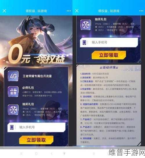 王者荣耀流量权益包与融合包，深度解析与选择指南