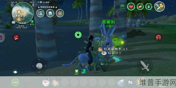 创造与魔法，黄豆作用全面解析与攻略指南