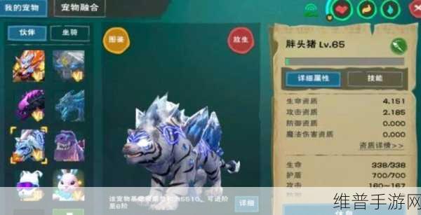 创造与魔法，稀有皎晶白虎全攻略