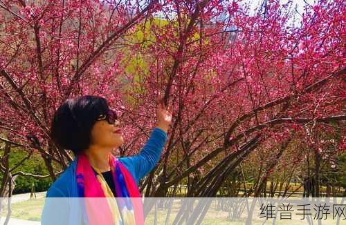 一杆大枪草一家三娘意思：1. 《一杆大枪草的温情家庭故事