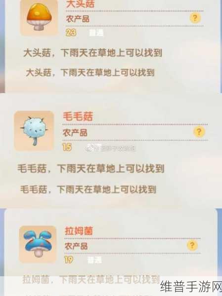 摩尔庄园手游,空中秋千放置全攻略