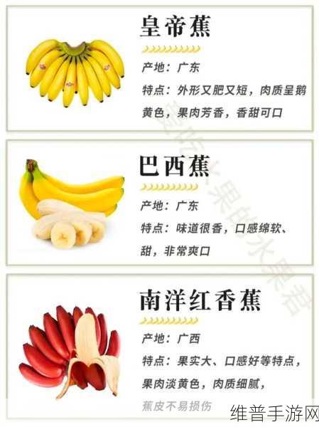 香蕉十八度和二十三度的区别：1. 香蕉在不同温度下的成熟与风味变化