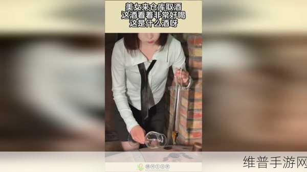 三亚私人高清电影院品牌加盟：1. 三亚私人影院加盟：开启你的财富之旅