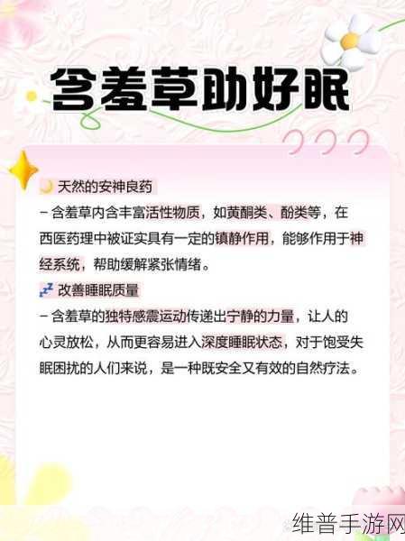 含羞草品种盘点含羞草四大品种：1. 含羞草品种全解析：四大热门类型详解
