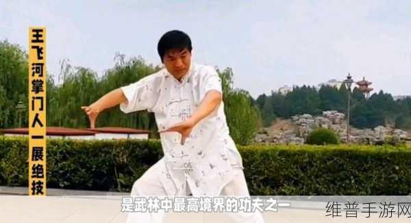 中国武术强度排行:1. 中国武术强度排行榜:谁才是真正的武林高手?