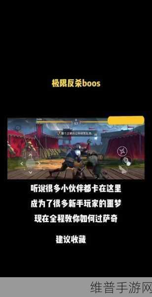 暗影格斗3萨奇打法深度解析，策略与技巧的完美融合