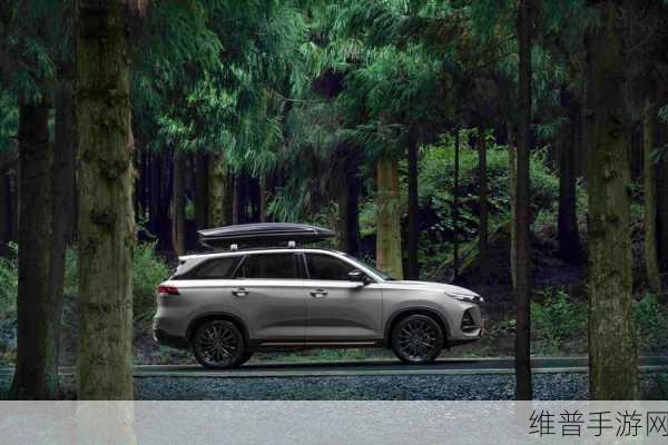 x7x7x7随意率性噪108:1. "探寻X7与随机噪声的奇妙交织