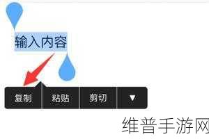Word出现错误报告?手游玩家必备解决方案攻略