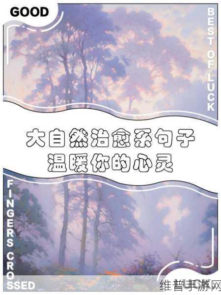 迈开腿让老师尝尝你的森林：1. 探索心灵与自然的深度对话