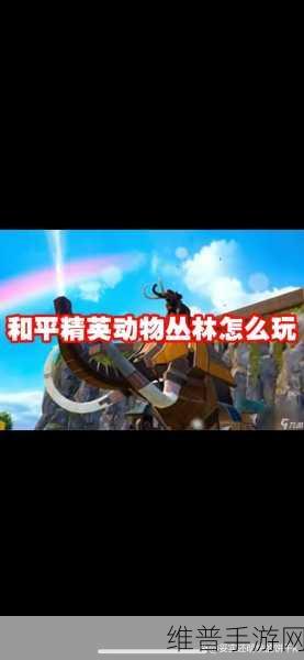 12 月 6 号和平精英体验服能否畅玩大揭秘