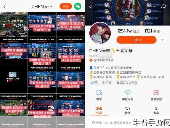 王者荣耀年度十大主播荣耀揭榜，星光璀璨，引领峡谷新风尚