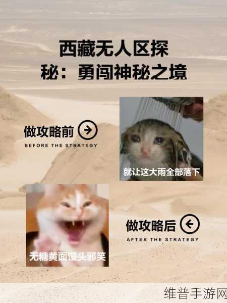 揭秘无人区一码卡二卡三乱码：1. 深入无人区：解码一码卡二卡三的神秘