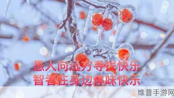 尼姑师太也需要快乐也需要爱情：1. 尼姑师太的心灵探索：寻找快乐与爱情