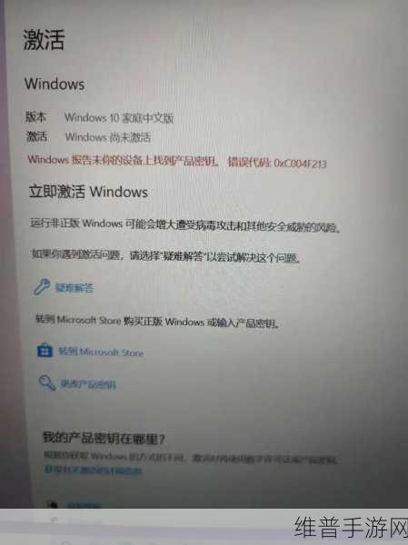 中国高清WINDOWS在线：1. 探索中国高清WINDOWS在线平台的未来发展