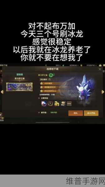 DNF手游春节宠物选择，冰龙与火龙谁更胜一筹？