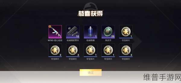 和平精英奇妙游园会皮肤全攻略,价格、获取方式与详细数据