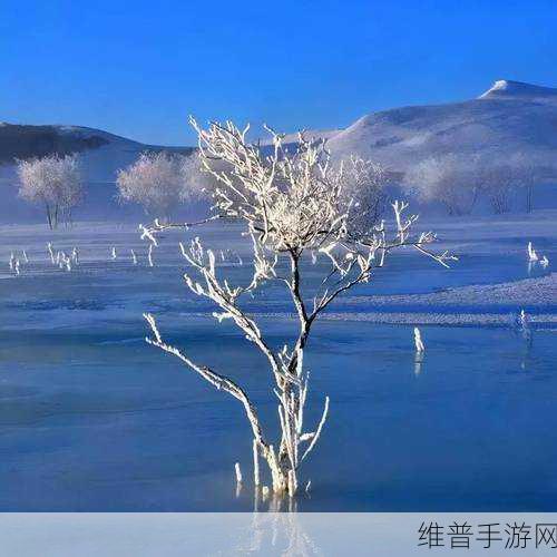 一起草国:草原的韵味:探寻国拓发展的新路径