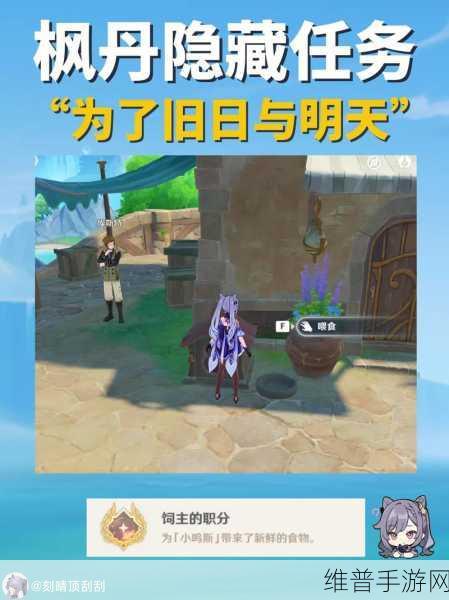 原神喂猫任务第二天攻略秘籍，轻松突破挑战