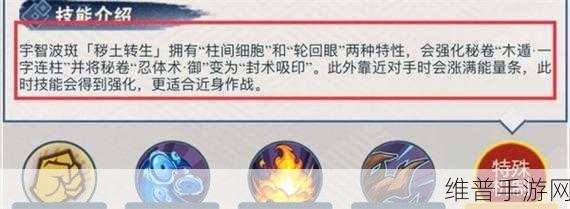 火影忍者手游秘卷技能全面汇总与深度解析