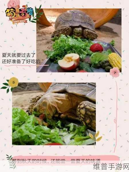 美国ZOOm动物仙踪林：1. 《动物奇缘：探索Zoom世界的神秘森林
