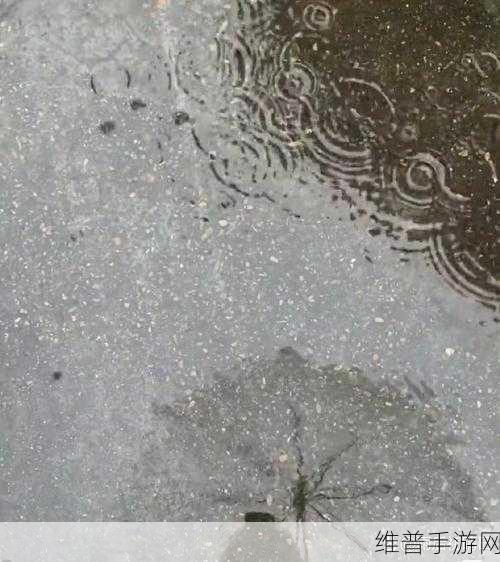 下面湿漉漉的像是刚下过雨：1. 雨后初晴，湿漉漉的世界焕发新生