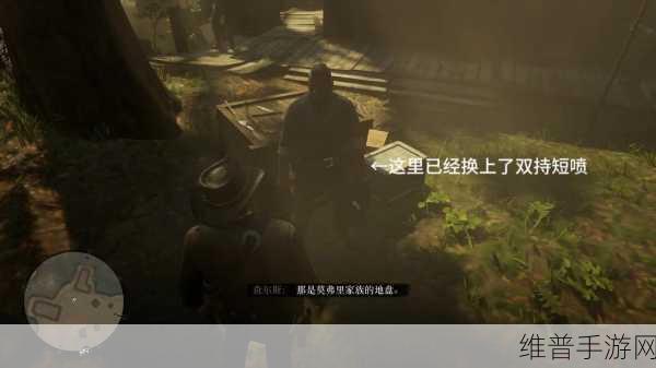 老年阿姨荒野大镖客背后故事：1. ＂荒野大镖客：老年阿姨的传奇追踪
