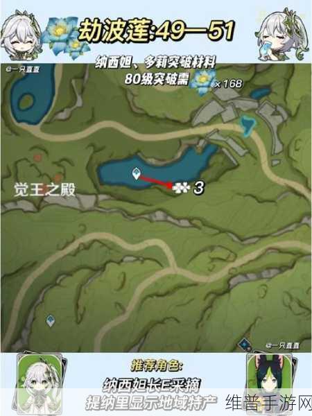 原神纳西妲突破材料全攻略，劫波莲采集路线大揭秘