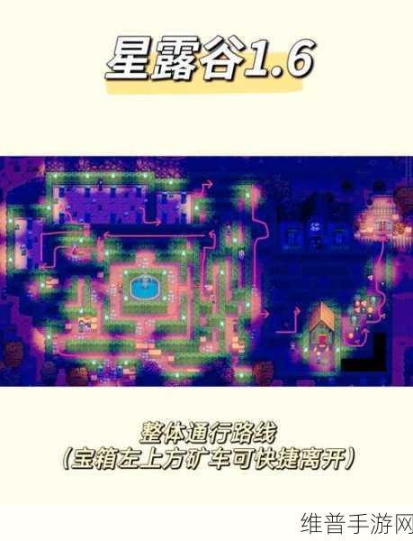 星露谷物语,蜂箱摆放方式大全深度解析