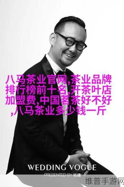 十八岁rapper潮水欢迎您:1. 《青春旋律:十八岁Rapper的梦想之路