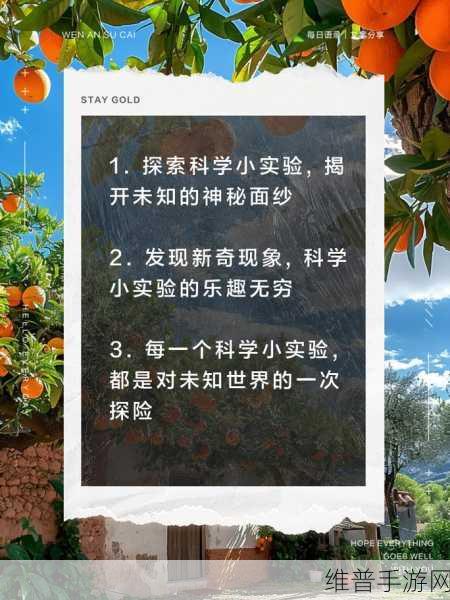 世界上最小BB有几个：1. 世界上最小BB的奥秘：如何定义“最小”？