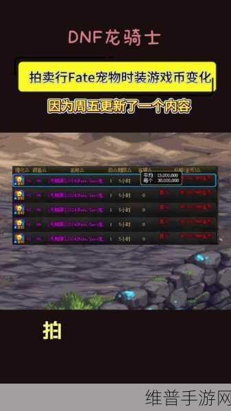DNF移动版，深入解析宠物系统详况，领略宠物技能的独特魅力