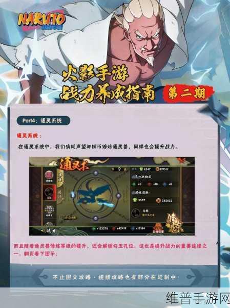 火影忍者手游深度攻略，全面提升忍者耐力训练的全新策略与技巧