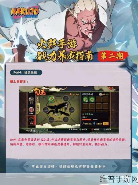 火影忍者手游深度攻略，全面提升忍者耐力训练的全新策略与技巧