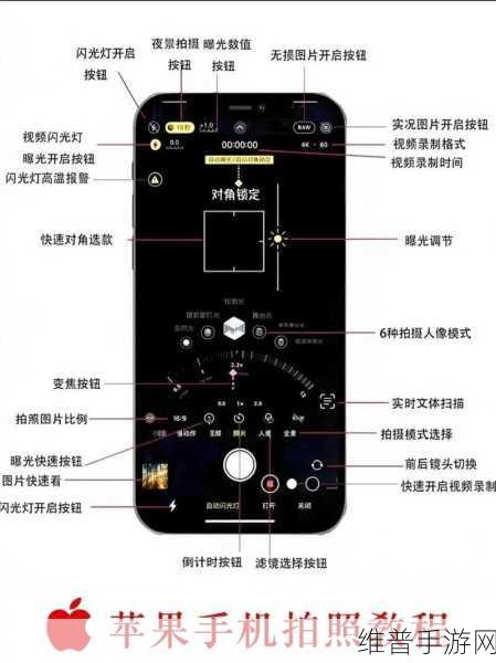 手机福利视频：1. ＂手机视频教程：轻松掌握拍摄技巧与编辑艺术