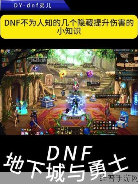 DNF手游攻略，探索公会地下城与公会大厅的奇妙之旅