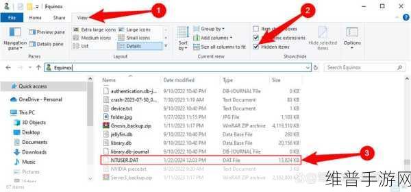 ntuser.dat：深入探讨ntuser.dat文件的结构与作用解析