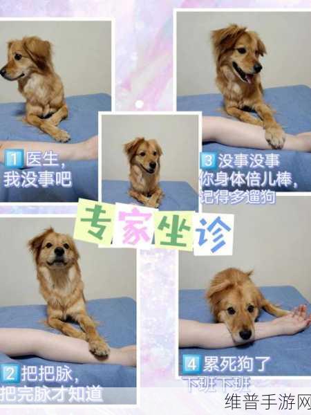 老中医用嘴排阴毒小雨的治疗方法:1. 古法新生:老中医口疗排毒的现代应用