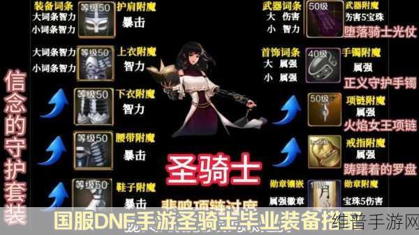 DNF手游攻略，圣骑士与哪个职业搭配刷图最快