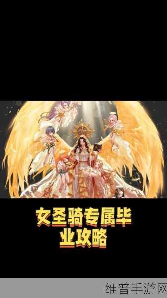 DNF手游攻略,圣骑士与哪个职业搭配刷图最快