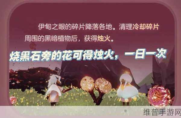 光遇黑暗植物怎么烧——快速烧黑暗植物方法全攻略