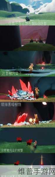 光遇黑暗植物怎么烧——快速烧黑暗植物方法全攻略