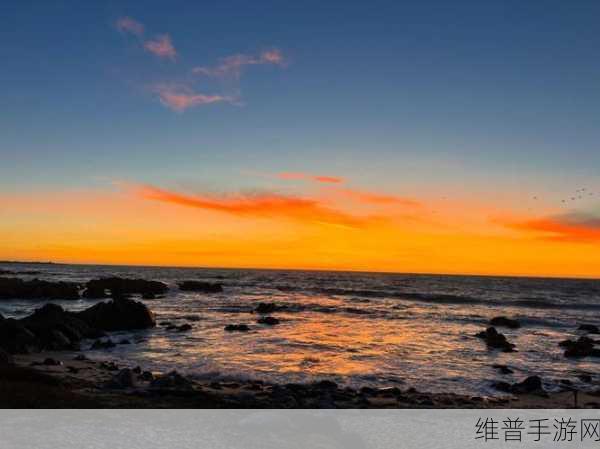 欧洲无人区天空码头IV在哪一本：欧洲无人区天空码头IV：探寻未来科技与自然的交汇