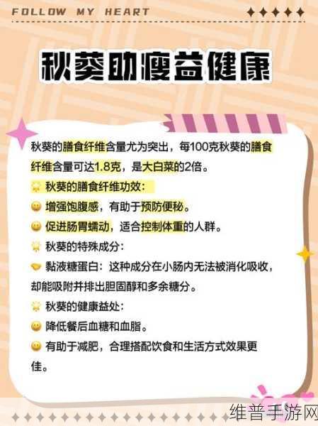 探寻丝瓜草莓秋葵污WWW旧版安卓：1. 深入探索丝瓜草莓与秋葵的奇妙结合