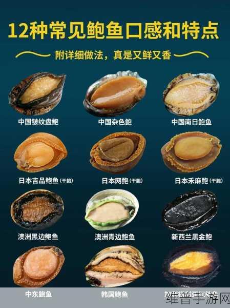 鲍鱼直播：1. ＂鲍鱼直播：探索海鲜美食的新视界