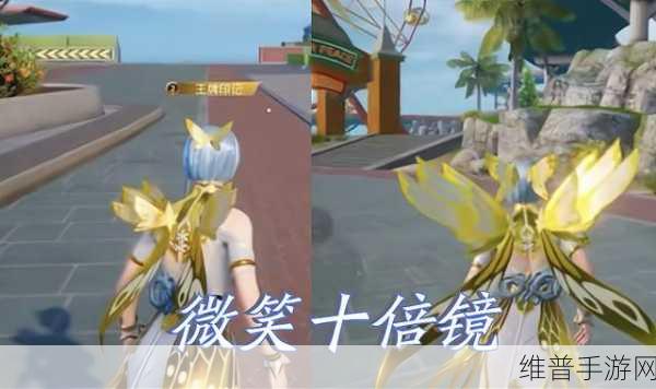和平精英庄周梦蝶飞行器获取攻略