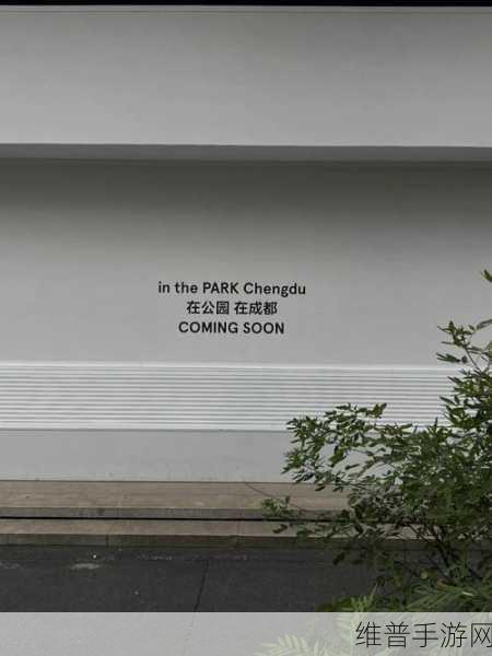 戴t和不戴哪个舒服明白：1. 戴上与不戴，哪种方式更舒适？